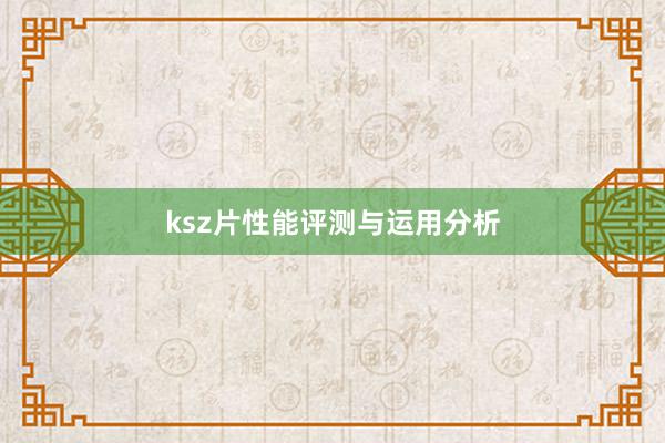 ksz片性能评测与运用分析