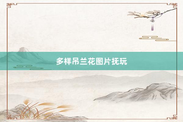 多样吊兰花图片抚玩