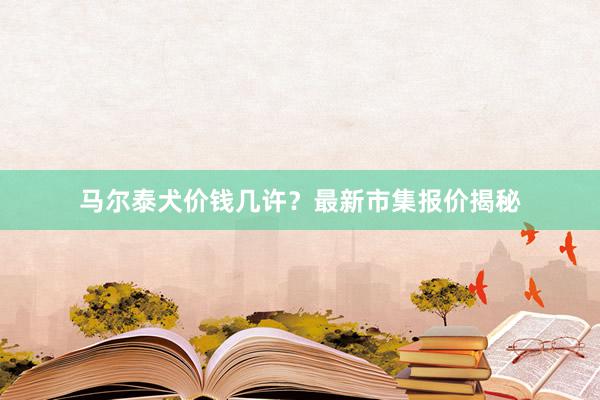 马尔泰犬价钱几许?最新市集报价揭秘