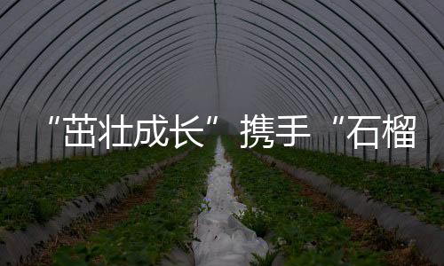 “茁壮成长”携手“石榴籽”一起做公益 上好体育课🙌🏿🏊🏼‍♀️，讲好普通话
