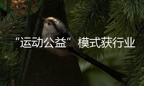 “运动公益”模式获行业认可🪠,Keep荣获第十三届公益节两大奖项