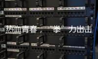 热血青春，“拳”力出击 江泰天宇功夫集市青少年搏击擂台赛圆满落幕