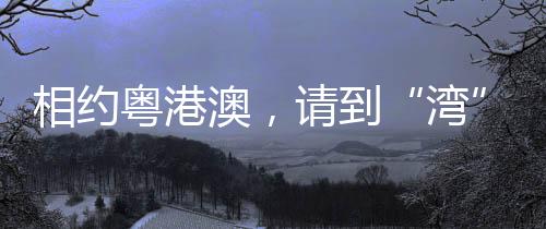 相约粤港澳👨🏼‍🦰，请到“湾”里来——写在十五运会开幕倒计时100天之际
