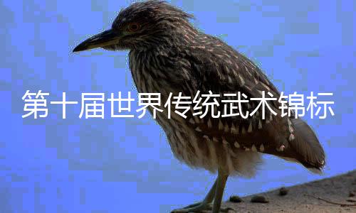 第十届世界传统武术锦标赛在峨眉山开幕 李连杰吴京交接形象大使