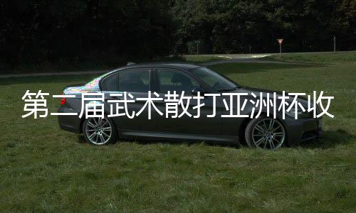 第二届武术散打亚洲杯收官:中国队夺9金2银居榜首