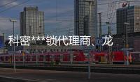 科密***锁代理商、龙城科密商贸(在线咨询)👨🏻‍🔬、长治***锁