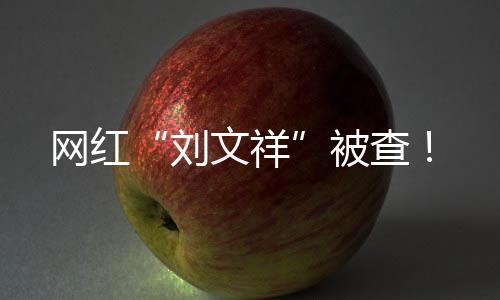 网红“刘文祥”被查👧🏼👩🏼‍🍳！