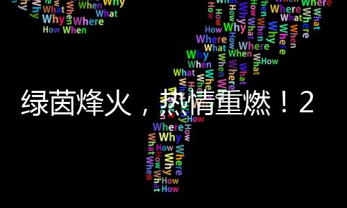 绿茵烽火，热情重燃🐥！2024中国网络媒体足球精英赛开幕