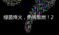 绿茵烽火💏👨‍🚀，热情重燃♿️！2024中国网络媒体足球精英赛开幕