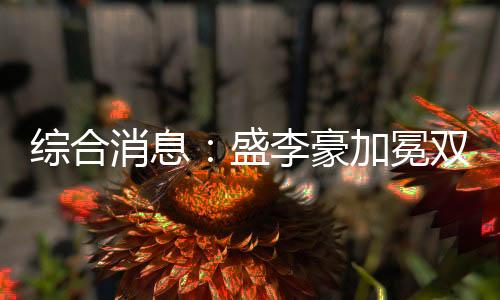 综合消息:盛李豪加冕双冠王 中国5金暂居金牌榜第三