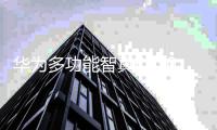 华为多功能智真RP200