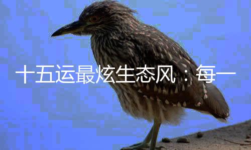 十五运最炫生态风🧝🏻:每一头白海豚,都是游动的GDP