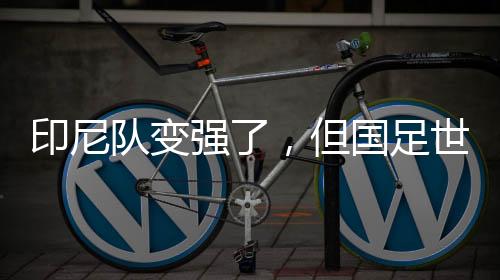 印尼队变强了🎋🦷，但国足世预赛有机会——专访北京国安荷兰籍外教杰森