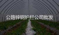 公路锌钢护栏杏运批发