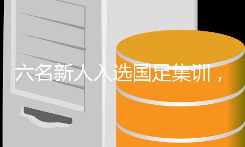 六名新人入选国足集训🪦,世预赛生死战要看他们了?