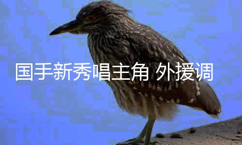 国手新秀唱主角 外援调整精彩不减——新赛季中国女排超级联赛亮点纷呈