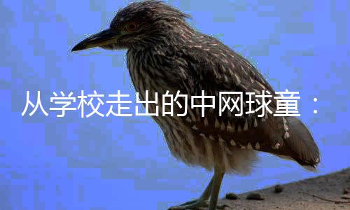 从学校走出的中网球童🌂：赛场小身影有网球大梦想