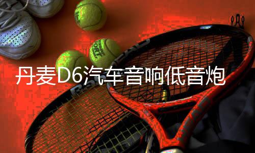 丹麦D6汽车音响低音炮车门喇叭四路功放车载4声道大功率功放126114133V