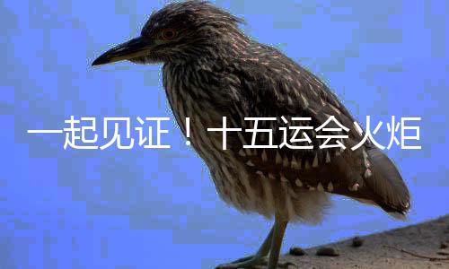 一起见证🙅🏼♂️!十五运会火炬传递启动仪式在深圳举行