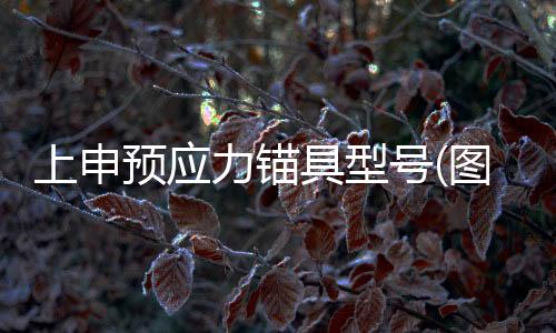 斯彼得铝包木门窗厂家