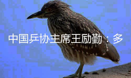 中国乒协主席王励勤🫅🏿：多哈世乒赛四个冠军来之不易