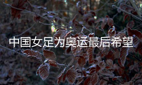 中国女足为奥运最后希望而战𓀝，遭遇韩国队胜率几何？