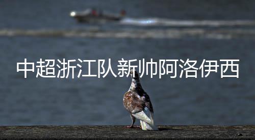 中超浙江队新帅阿洛伊西👨🏻‍🚀：球队将以崭新面貌迎接新赛季