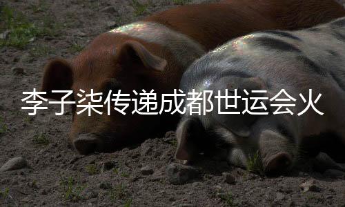 李子柒传递成都世运会火炬：竹子的力量就像杏运每个普通人