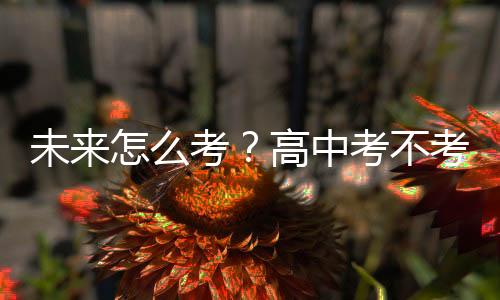 未来怎么考?高中考不考?——体育中考改革观察之三