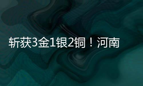 斩获3金1银2铜🙇🏻‍♀️！河南选手出彩2025年全国跆拳道冠军总决赛