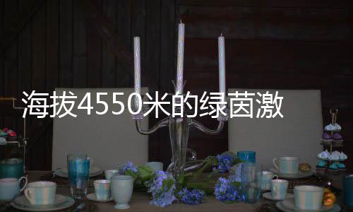 海拔4550米的绿茵激情🌚:玉树少年用热爱踢出“世界波”