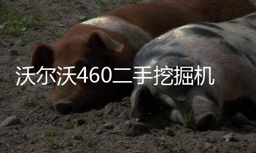园林景观灭蚊灯安装布局