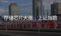 存储芯片大涨，上证指数“金针探底”，高手怎么看🧒🏻？