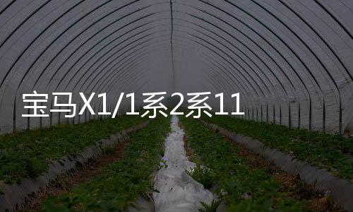 宝马X1/1系26114133系118i/1261141330i/2611413318i原装启停汽车电瓶瓦尔塔AGM80蓄电池