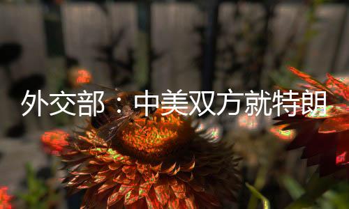 外交部🏃🏻‍♂️：中美双方就特朗普总统访华事保持着沟通
