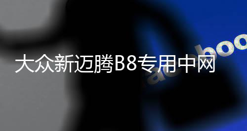大众新迈腾B8专用中网改装亮条迈腾前脸格栅装饰亮条汽车改装配件