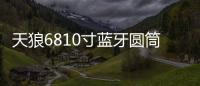 天狼6810寸蓝牙圆筒大功率重低车载有源汽车低音炮12V24V220V音响