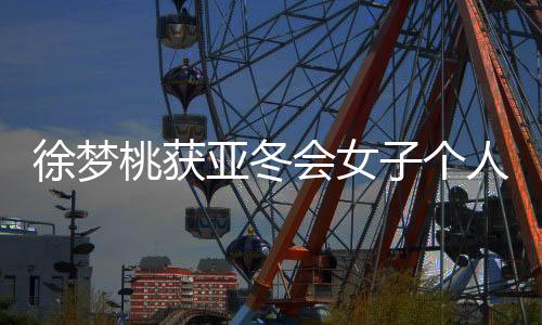 徐梦桃获亚冬会女子个人空中技巧冠军：给自己打95分