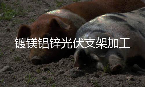 镀镁铝锌光伏支架加工