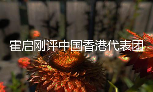 霍启刚评中国香港代表团亚运表现：突破自己创造历史