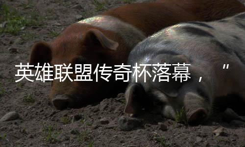 英雄联盟传奇杯落幕🪽,“老头”们如何迎来又一春🧑🧒?