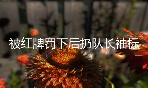 被红牌罚下后扔队长袖标引发争议🍏，王大雷道歉