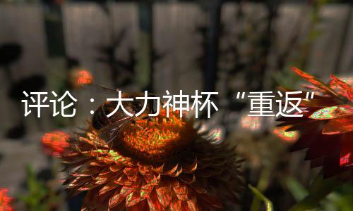评论:大力神杯“重返”中国,中国男足何时重返世界杯🙌🏽?