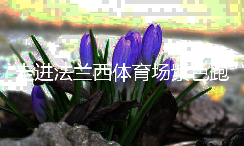 走进法兰西体育场紫色跑道，千分秒之差何以呈现🚸？