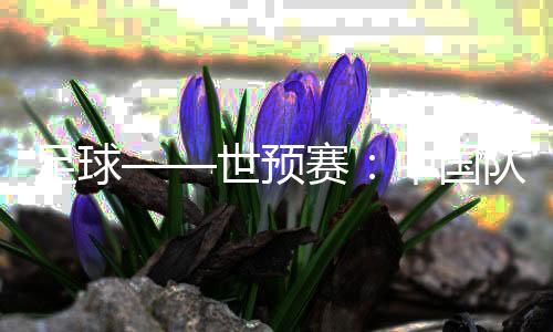 足球——世预赛🍨：中国队举行新闻发布会并进行赛前训练