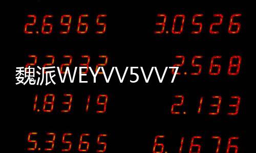 魏派WEYVV5VV7VV6仪表盘中控台避光垫改装配件汽车内装饰防晒用品