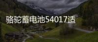 骆驼蓄电池54017适用比亚迪F0汽车电瓶40AH  以旧换新