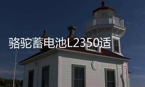 骆驼蓄电池L26114133350适用于东风景逸长安悦翔睿骋逸动睿成汽车电瓶
