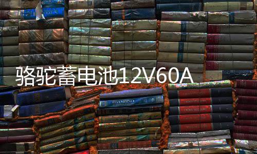 骆驼蓄电池12V60A适配长安悦翔CS35志翔逸动欧诺1DF汽车电瓶L2350