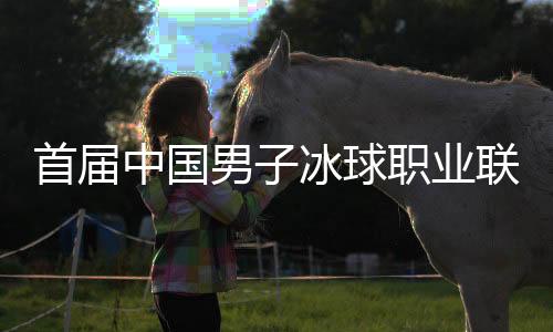 首届中国男子冰球职业联赛总决赛开幕 北京🔐、深圳迎“开门红”